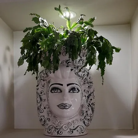 La Casa Di Luzzo Apartment Agrigento